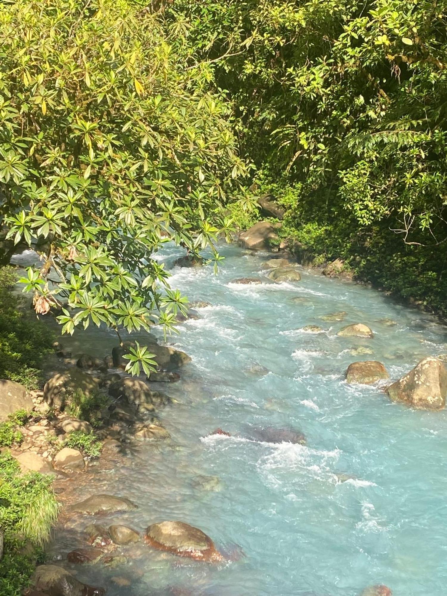Myra Chalets Bijagua Εξωτερικό φωτογραφία