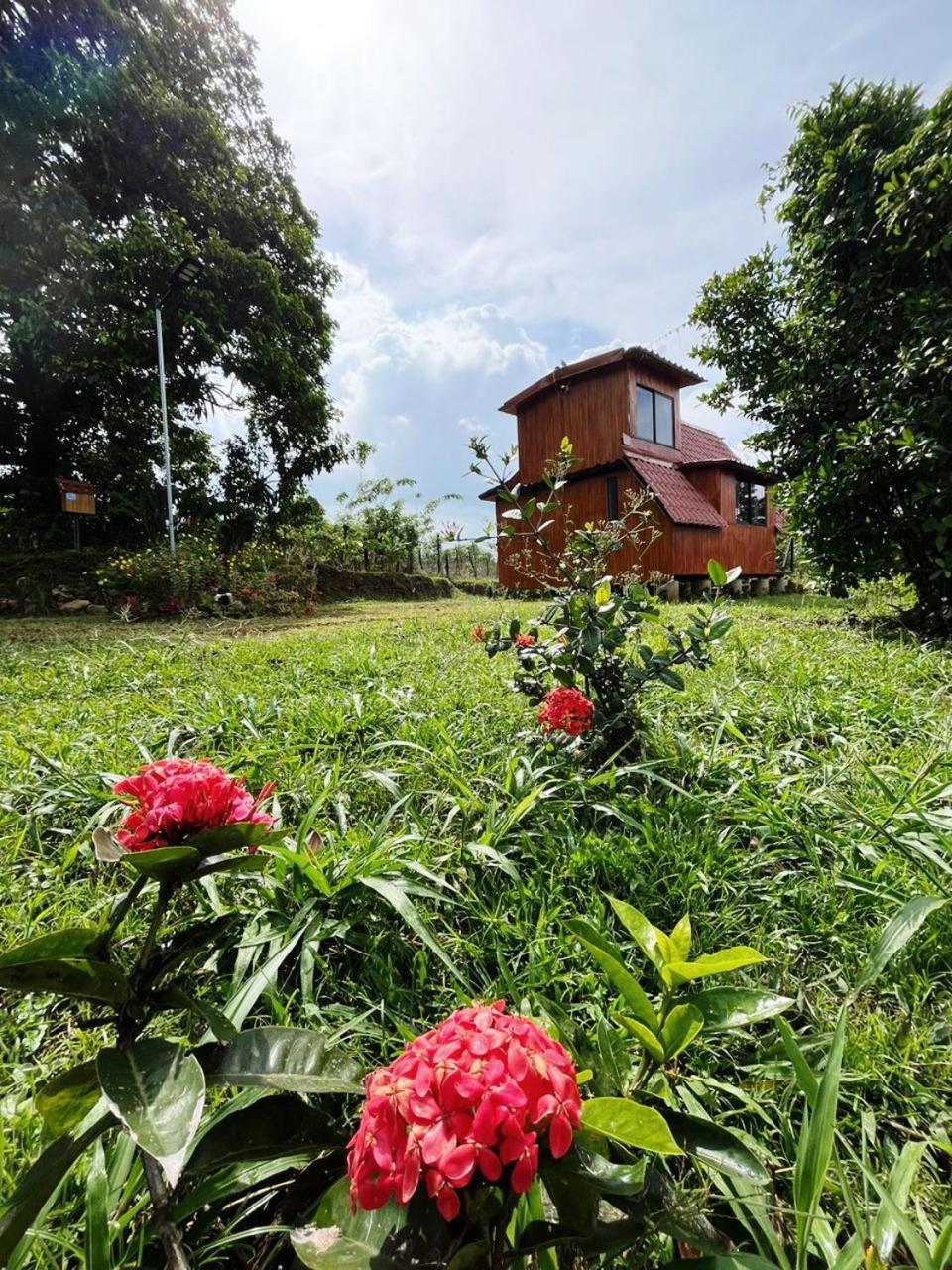 Myra Chalets Bijagua Εξωτερικό φωτογραφία